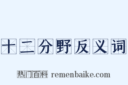 十二分野反义词是什么意思的图片